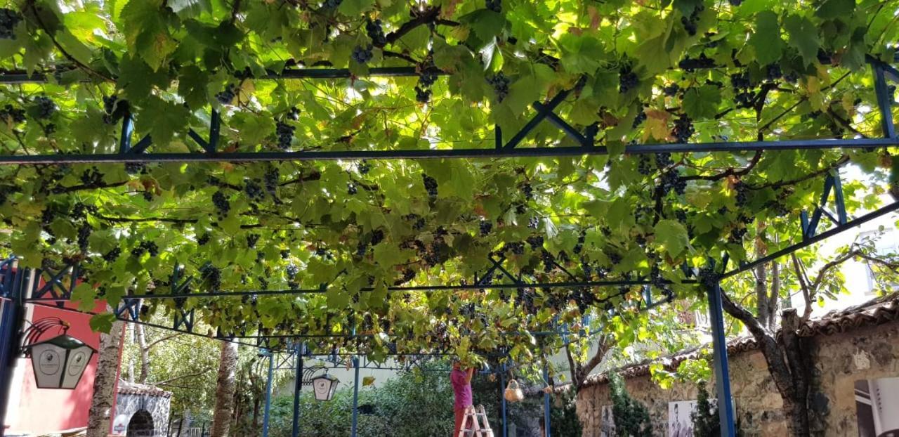 Villa Themistokli Görice Dış mekan fotoğraf